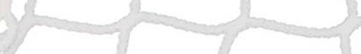 netzeigenschaft-weiss