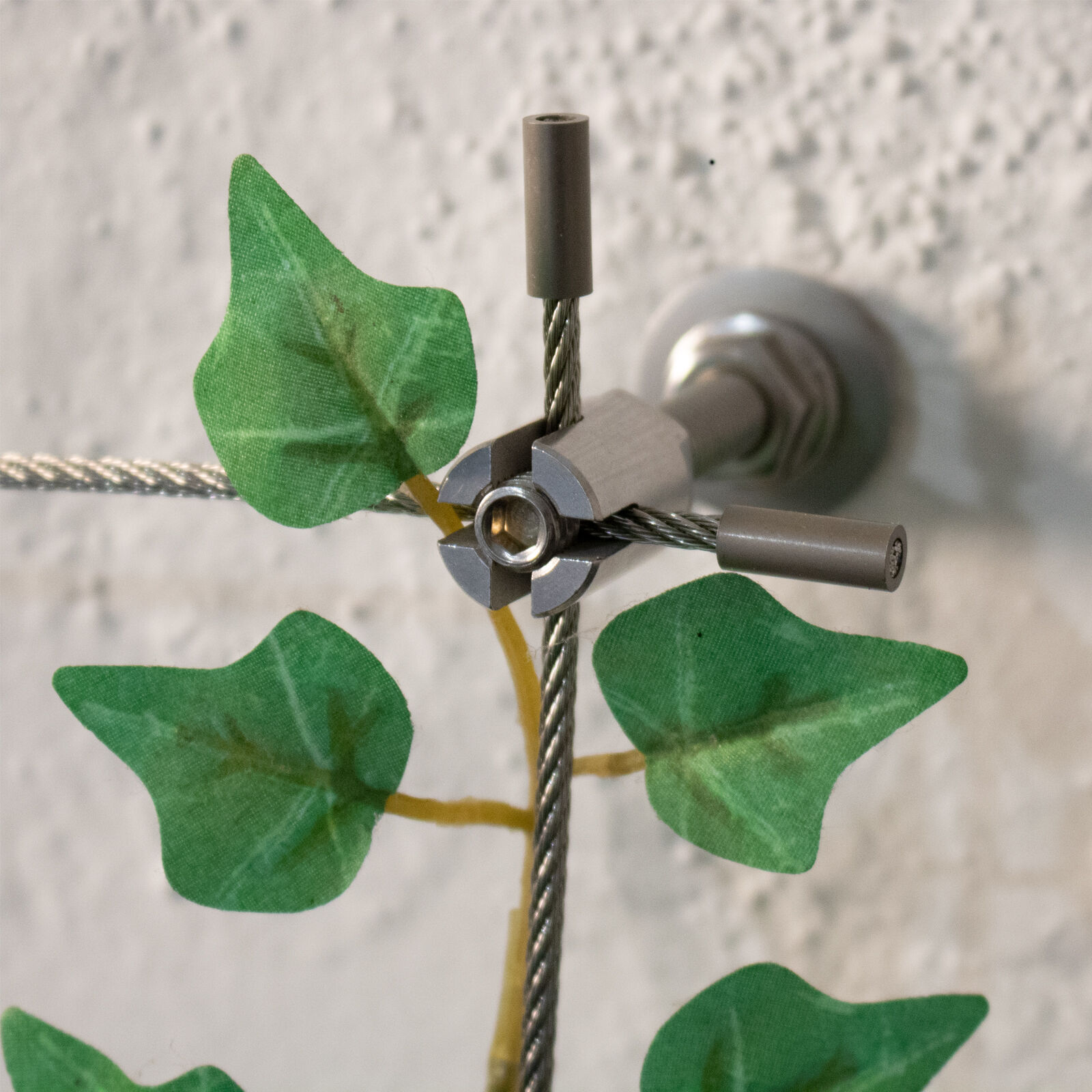 Ranksystem / Rankhilfe M - Wandabstand 50mm aus Edelstahl Ranksystem / Rankhilfe M - Wandabstand 50mm