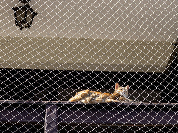 Universal Netz / Maschenweite 45mm / Breite 1,0mtr. / Naturfarben | Hamburger Tauwerk Fabrik – Beste Qualität seit 1901. Jetzt online kaufen