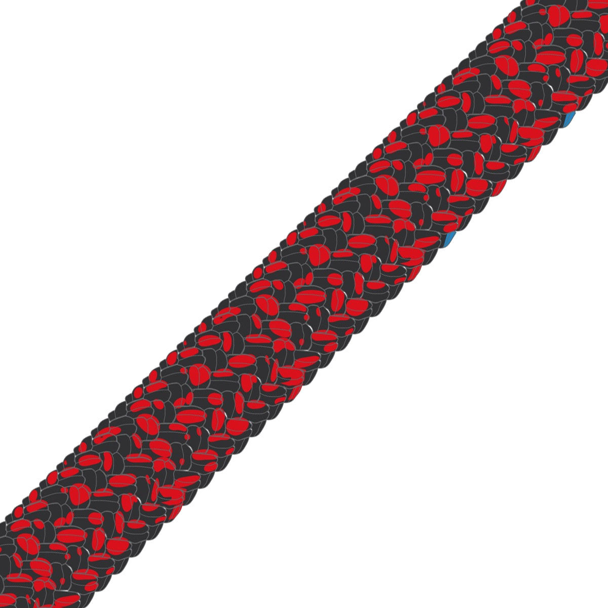GLEISTEIN RunnerSprint - 10mm / Bruchlast 5560daN / weiß/schwarz | Hamburger Tauwerk Fabrik – Beste Qualität seit 1901. Jetzt online kaufen