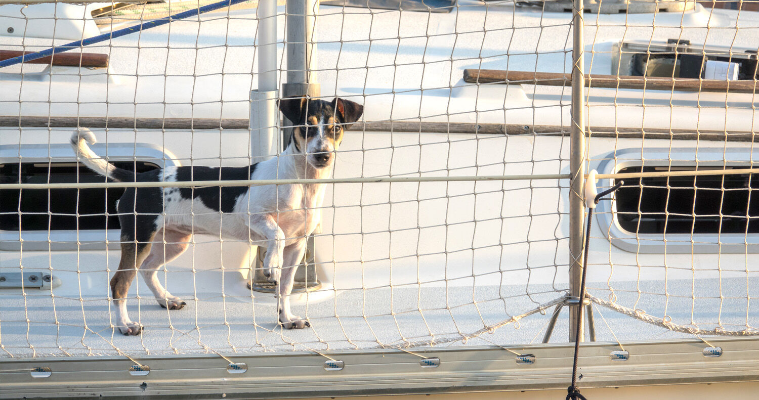 Universal Netz / Maschenweite 45mm / Breite 1,0mtr. / Weiß | Hamburger Tauwerk Fabrik – Beste Qualität seit 1901. Jetzt online kaufen